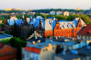 杏彩体育官网-奥运资格赛皮划艇项目中国队再夺两金,奥运皮划艇名单 第3张